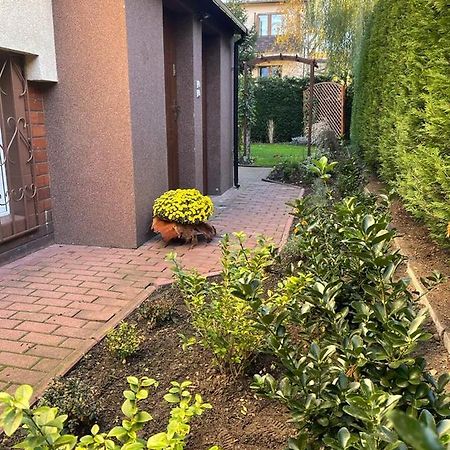 شقة Maly Apartament Z Kuchnia I Lazienka شتشيتسين المظهر الخارجي الصورة