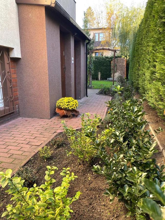 شقة Maly Apartament Z Kuchnia I Lazienka شتشيتسين المظهر الخارجي الصورة